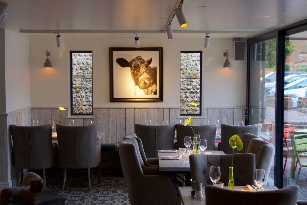 The Bull gallery - Gallery