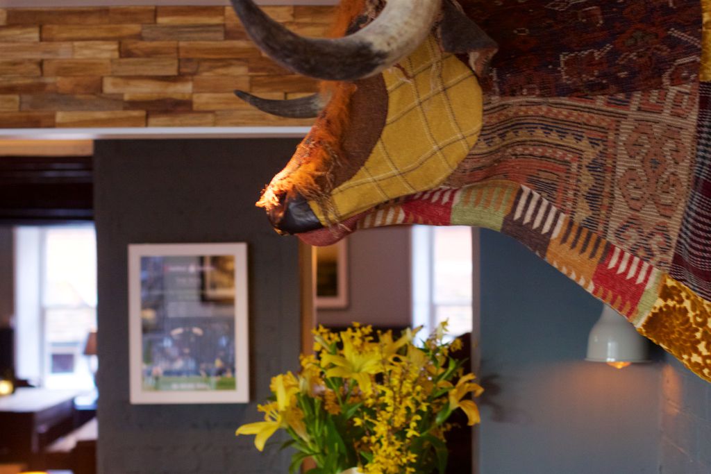 The Bull gallery - Gallery