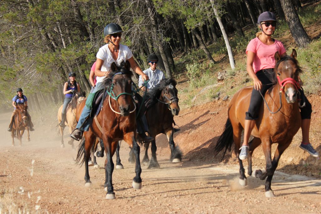 Cortijo los Lobos gallery - Gallery