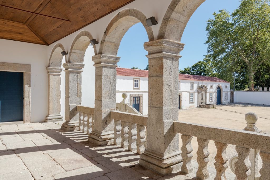 Paco de Vitorino gallery - Gallery