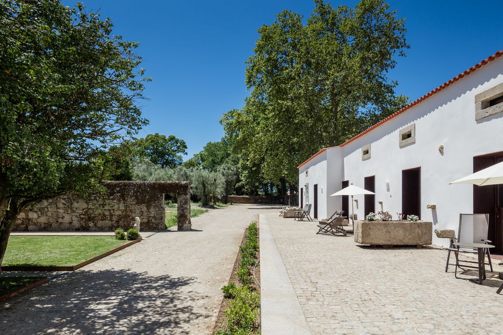 Paco de Vitorino gallery - Gallery