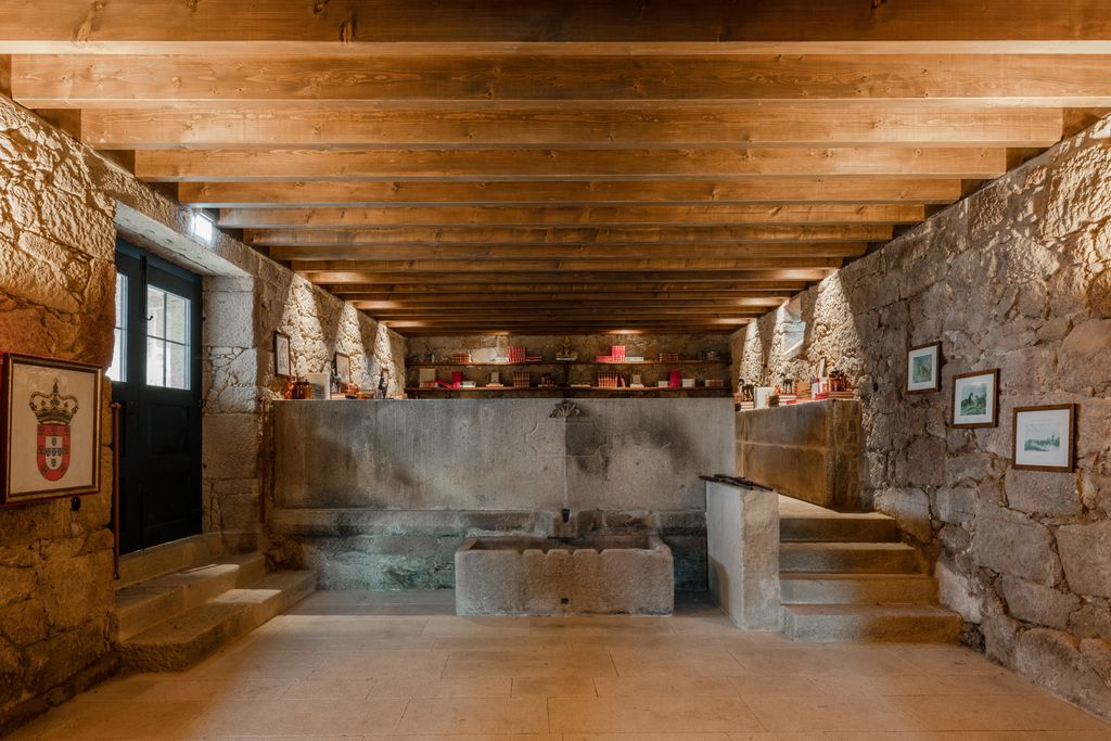 Paco de Vitorino gallery - Gallery