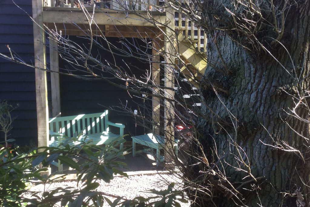 The Treehouse gallery - Gallery