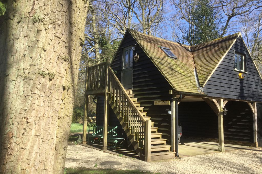 The Treehouse gallery - Gallery