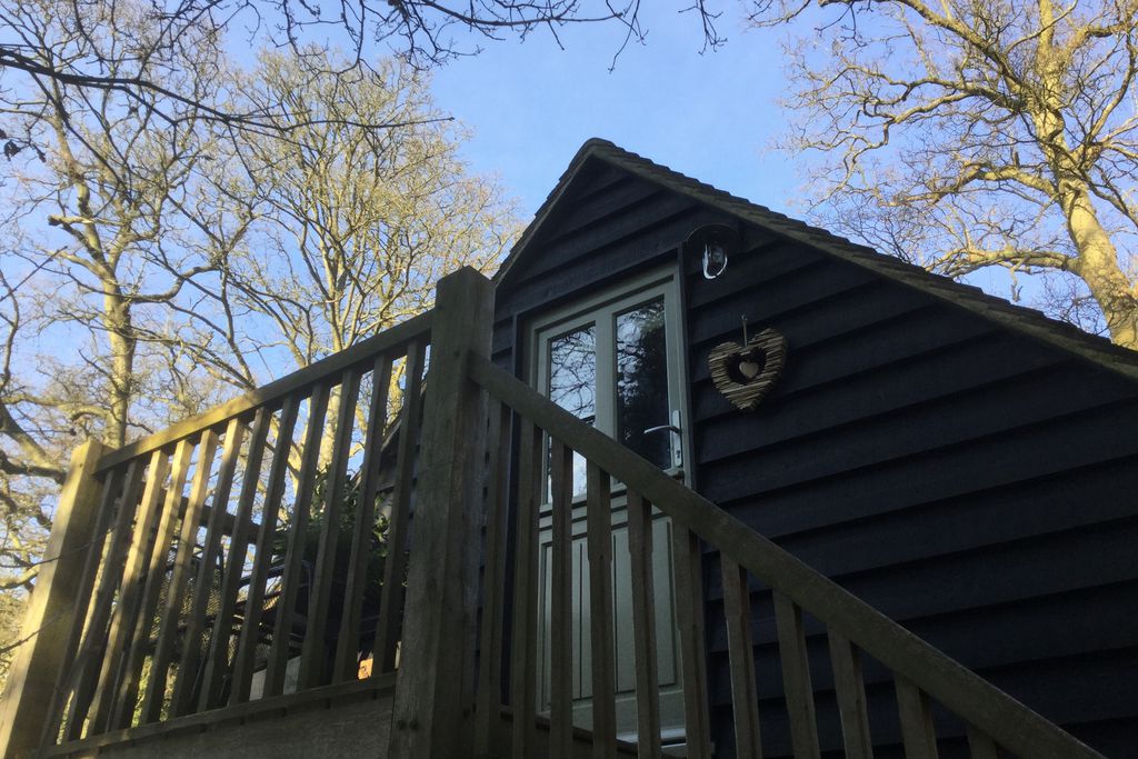 The Treehouse gallery - Gallery