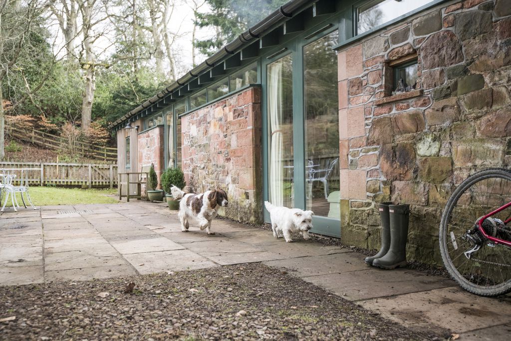 The Potting Shed gallery - Gallery
