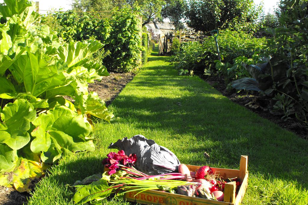 Crumble Cottage gallery - Gallery
