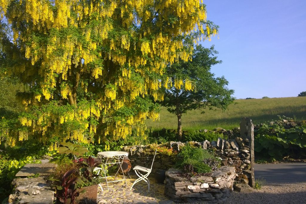 Crumble Cottage gallery - Gallery