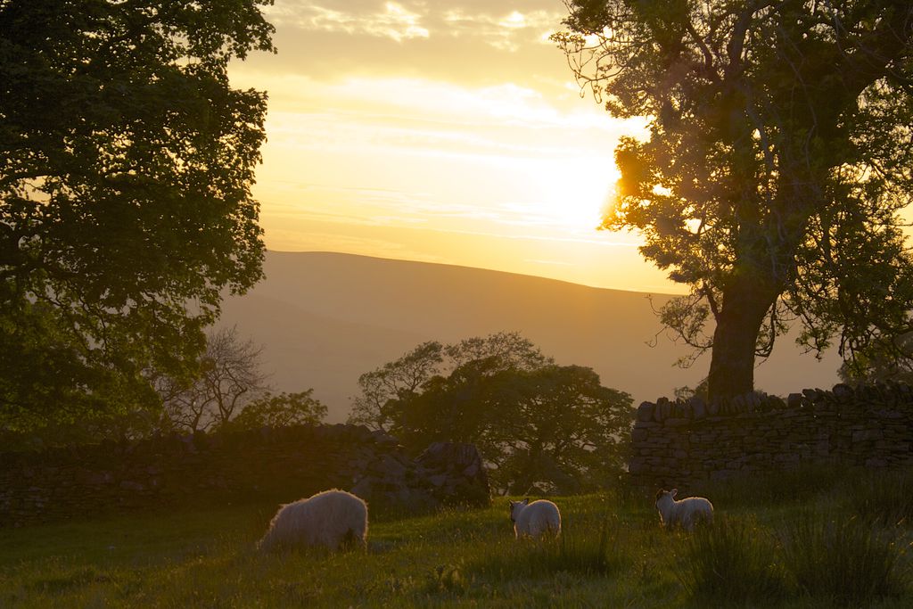 Windy Hall - Gallery