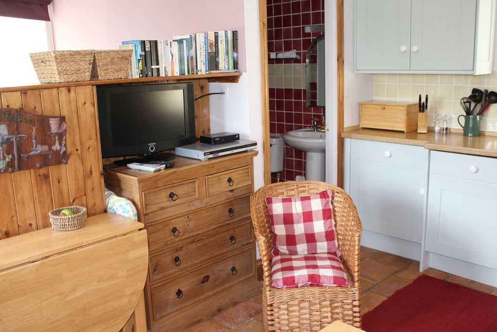 Open plan living area leading to the toilet