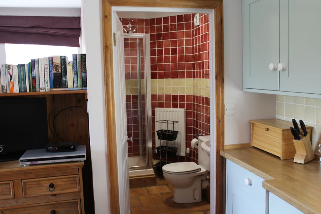 Bathroom with toilet and shower