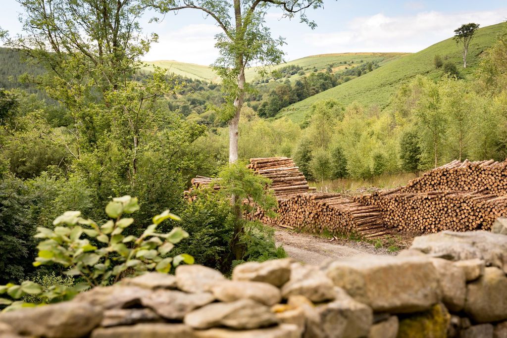 Red Kite Barn gallery - Gallery