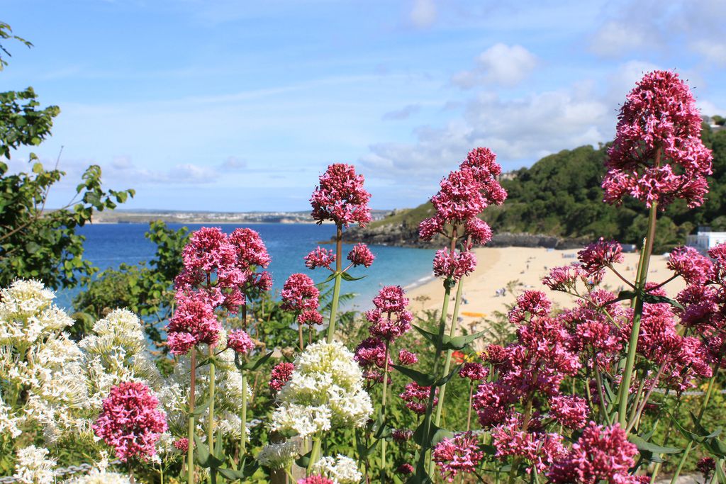 Looking onto the local beach