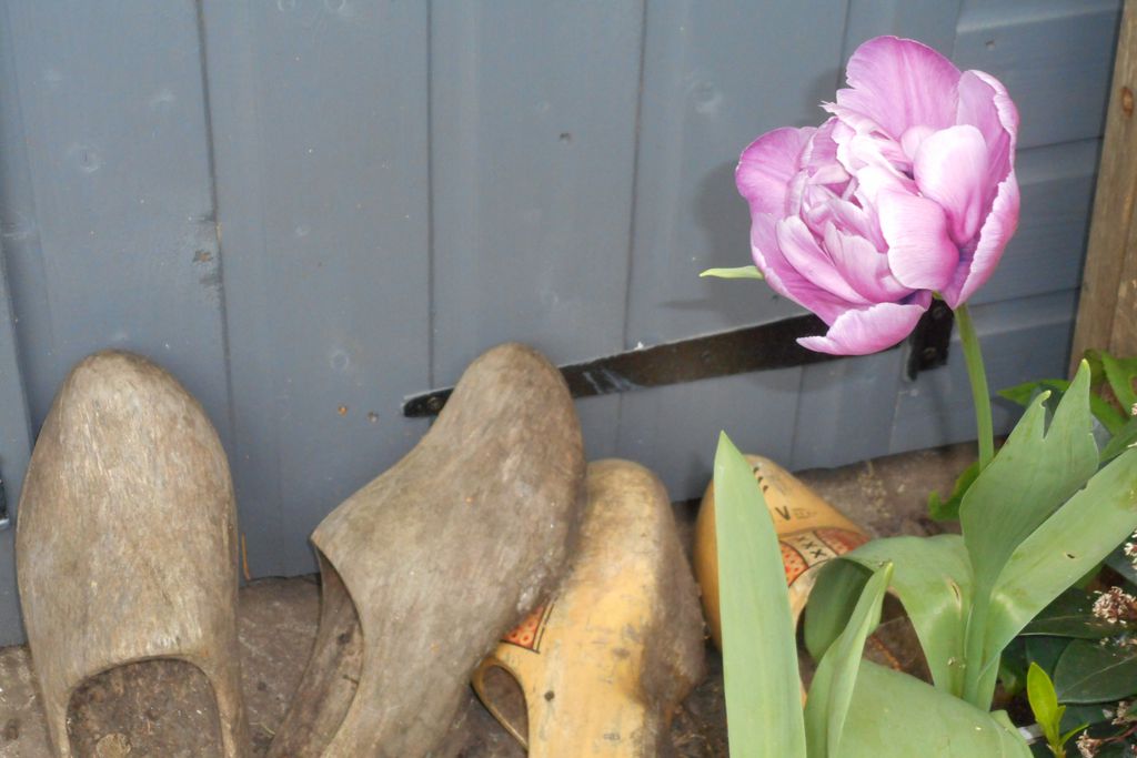 St Martin's B&B gallery - Gallery