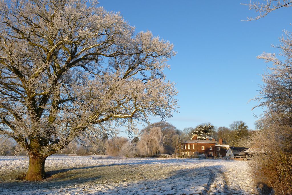 Elmdon Lee gallery - Gallery