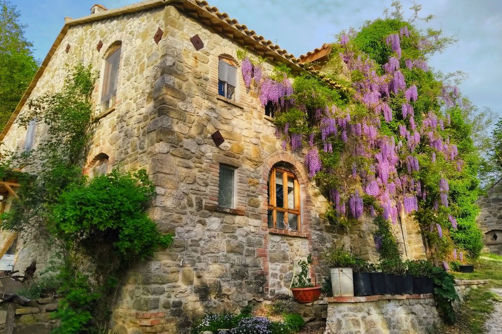 Wild Umbria gallery - Gallery