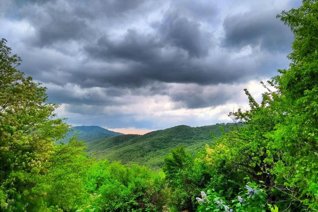 Wild Umbria gallery - Gallery