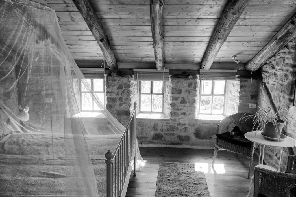 Wild Umbria gallery - Gallery