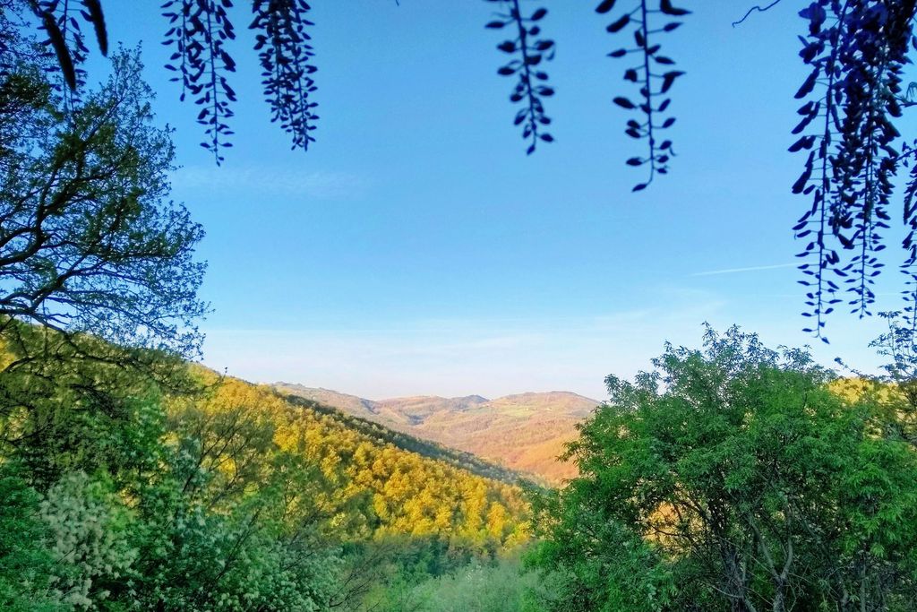 Wild Umbria gallery - Gallery