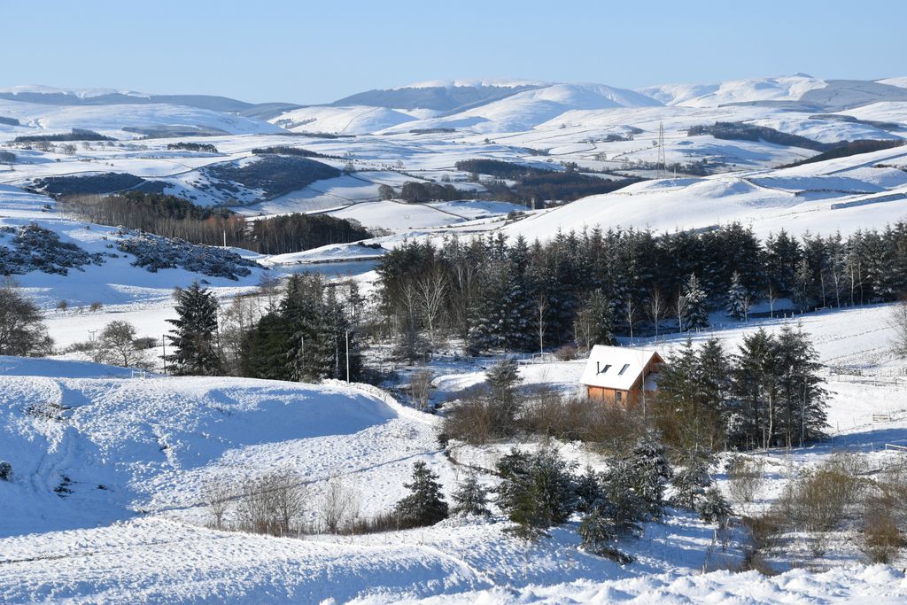 Fiddle Hill gallery - Gallery