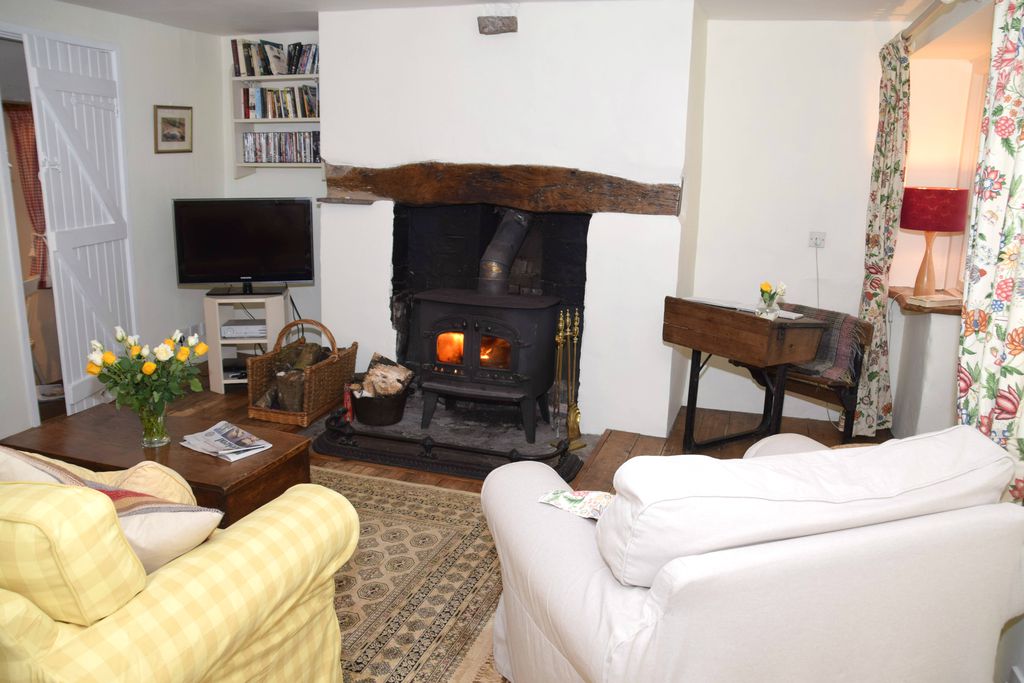 Snug lounge area at Graig Ddu - The Cottage in the Forest with real wood burner, TV, DVDs and fresh flowers on the table