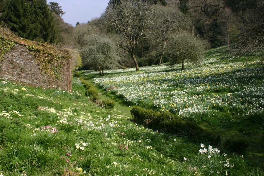Pentillie Castle gallery - Gallery