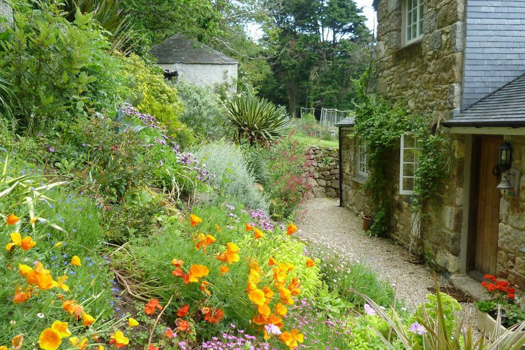 Wild flower garden at Cove Cottage in Cornwall
