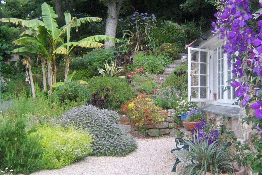 Well established garden at Cove Cottage in Cornwall