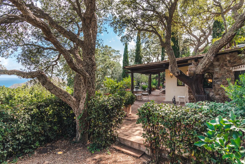 La Marchesa - Gallery