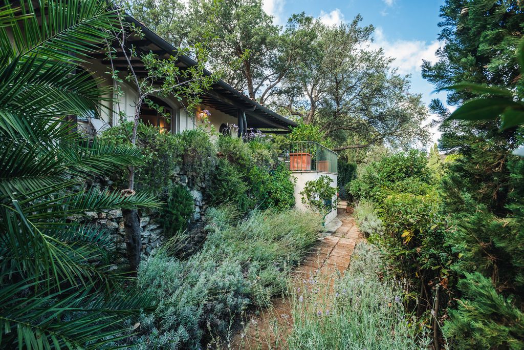 La Marchesa - Gallery