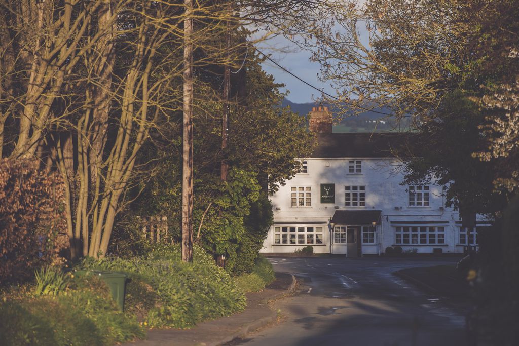 The Haughmond gallery - Gallery