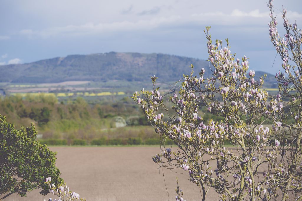 The Haughmond gallery - Gallery