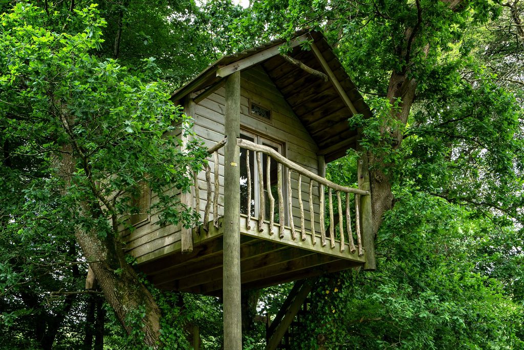 The Old Rectory Pyworthy gallery - Gallery