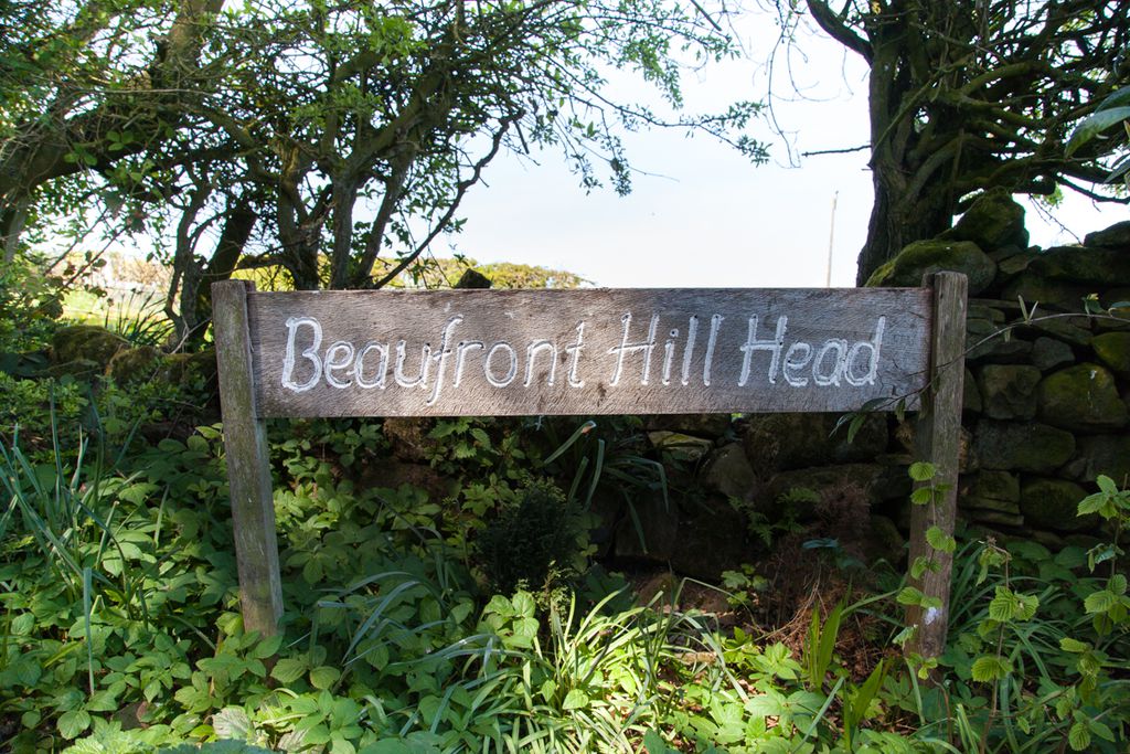 Beaufront Hill Head - Gallery