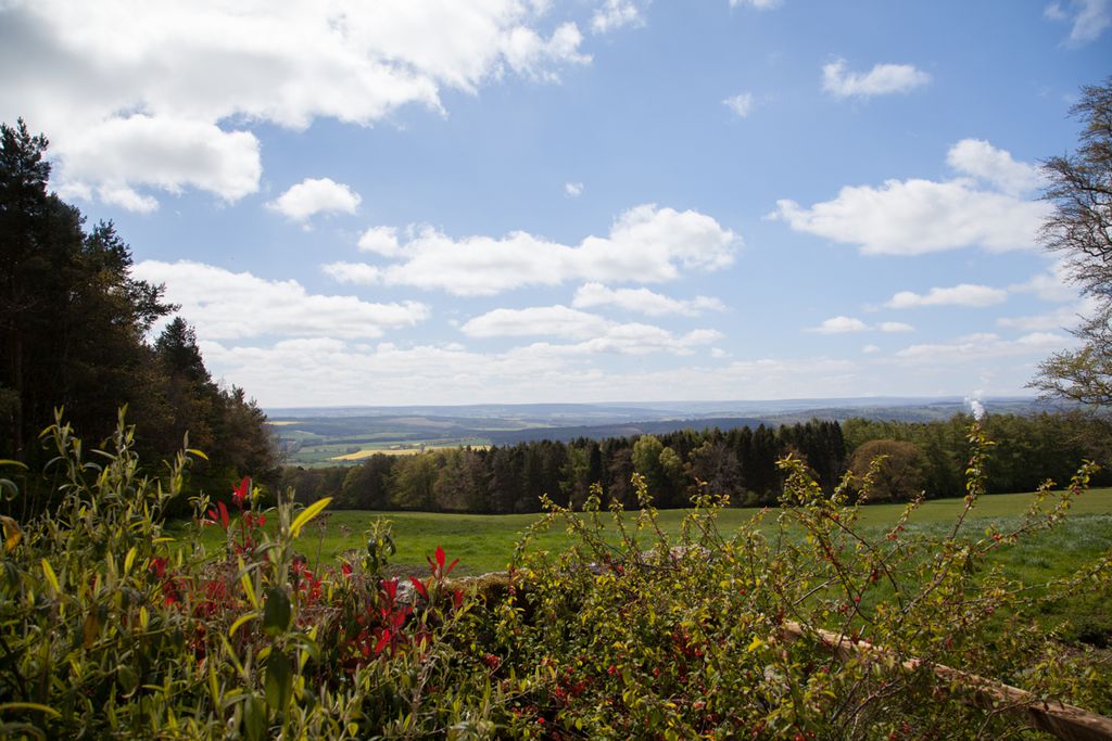 Beaufront Hill Head - Gallery