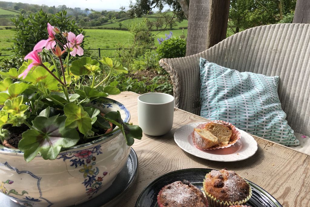 The Garden House at Holway Mill - Gallery
