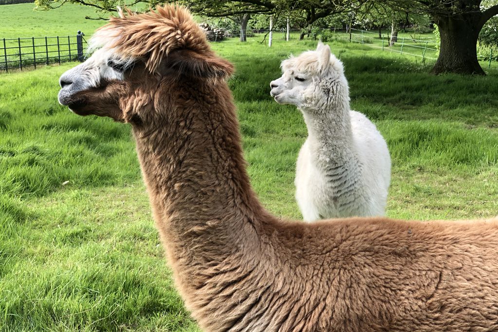 The Garden House at Holway Mill - Gallery