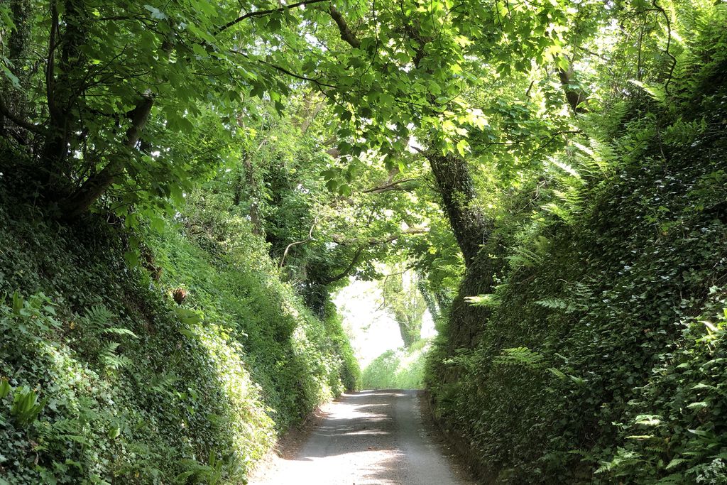 The Garden House at Holway Mill - Gallery