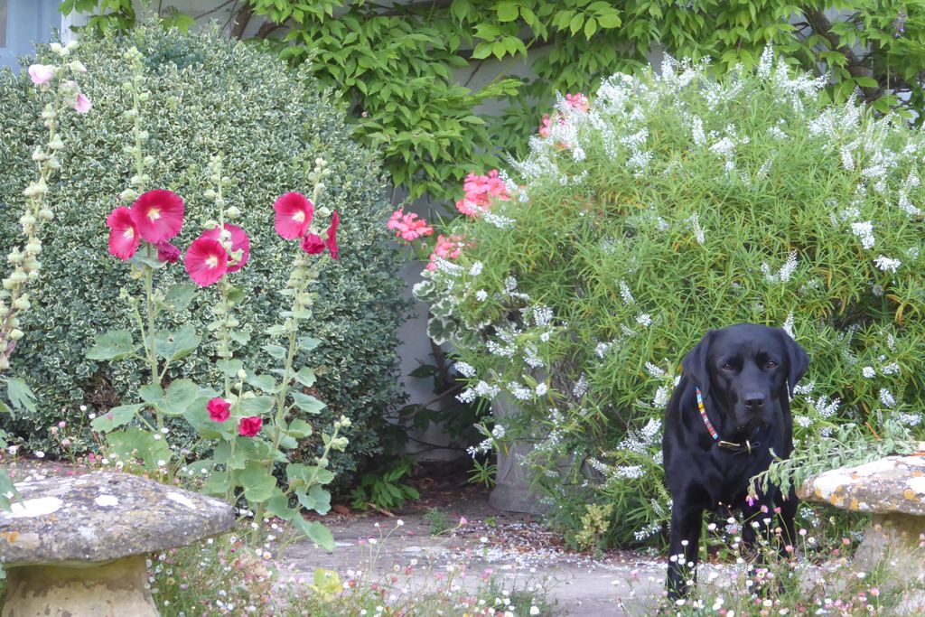 The Garden House at Holway Mill - Gallery