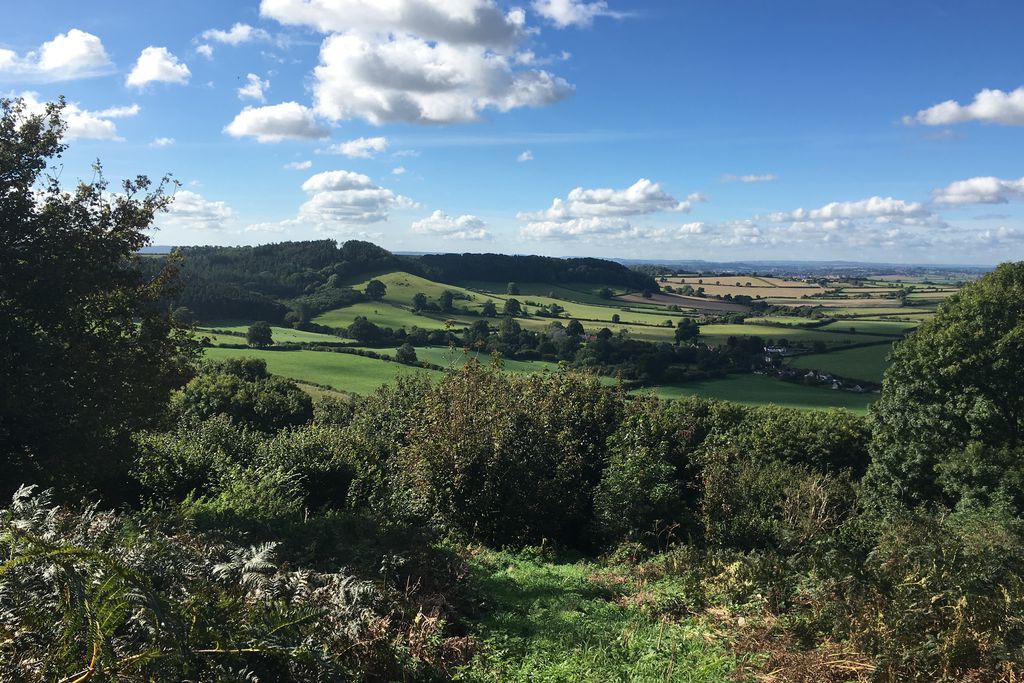 The Garden House at Holway Mill - Gallery