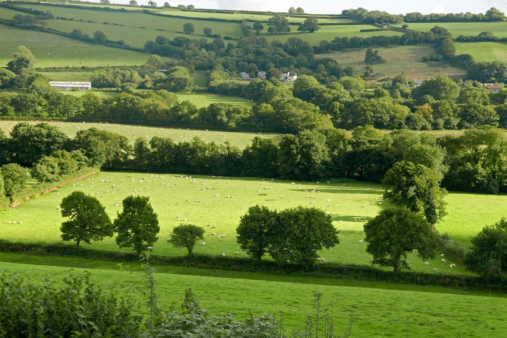 School House - Gallery