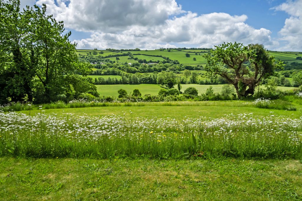 School House - Gallery