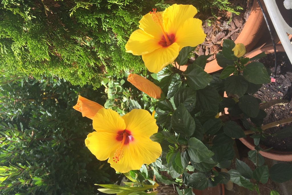 Villa Kaete - Gallery