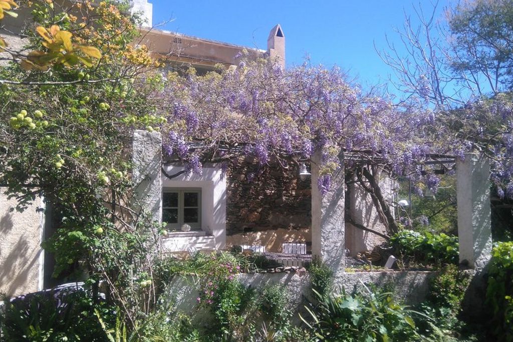 Casa de la Fuente gallery - Gallery