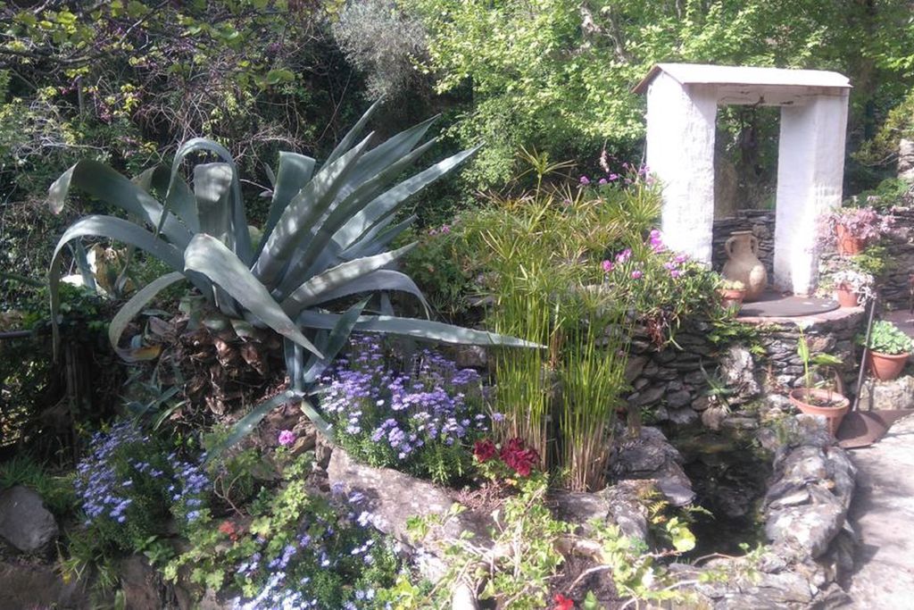 Casa de la Fuente gallery - Gallery