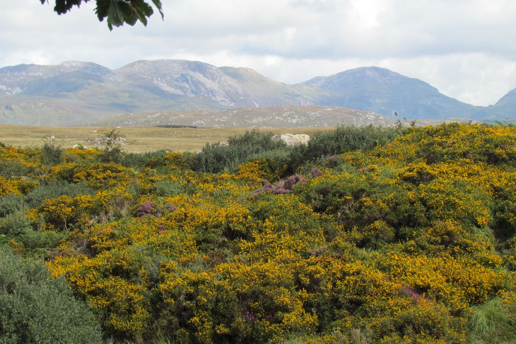 Cuach Cottage - Gallery