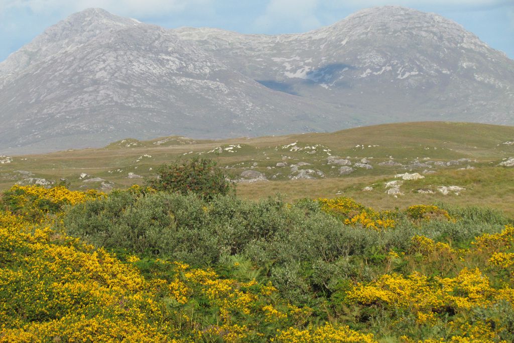 Cuach Cottage - Gallery