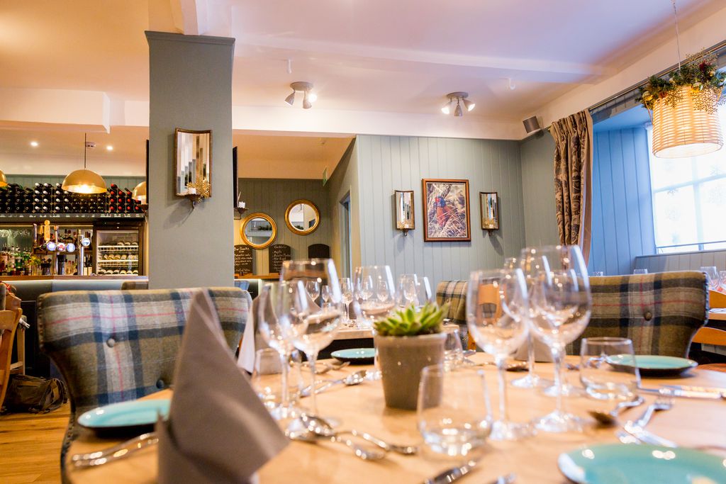 Ginger Peanut gallery - Gallery