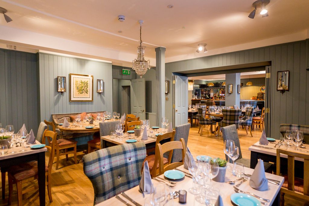 Ginger Peanut gallery - Gallery