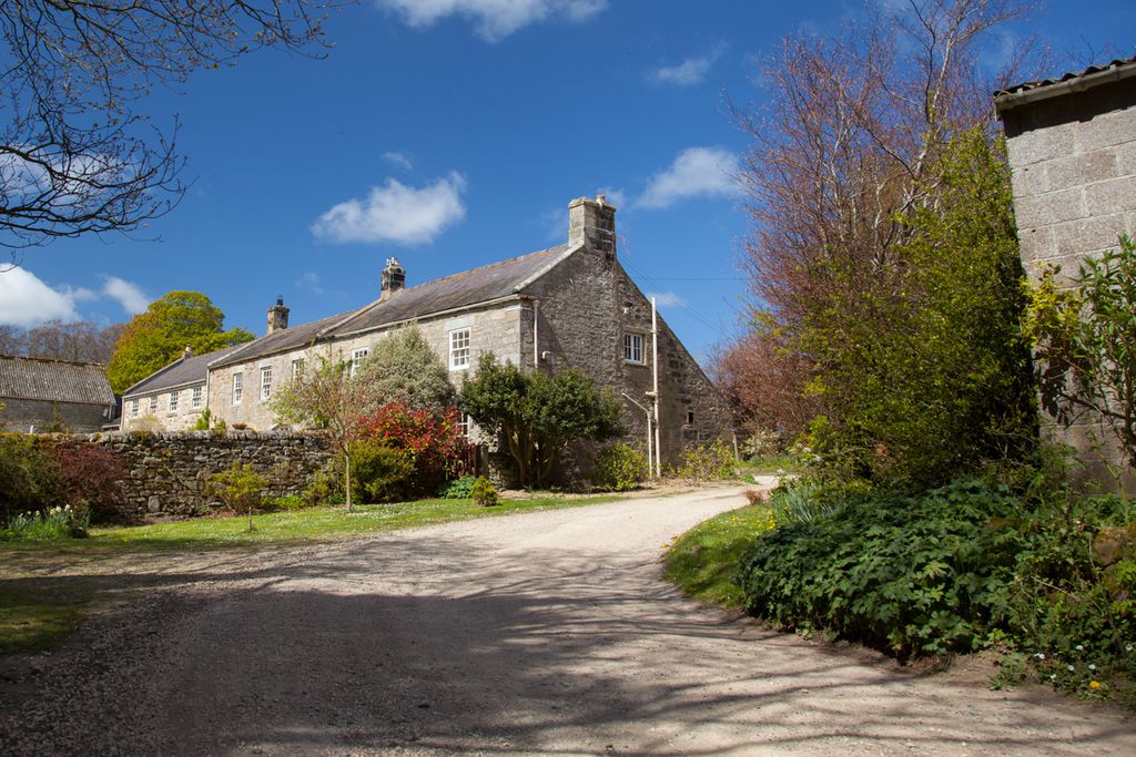 Quaint Beaufront Hill Head cottage on a peaceful farm in the sun of Northumberland, England 